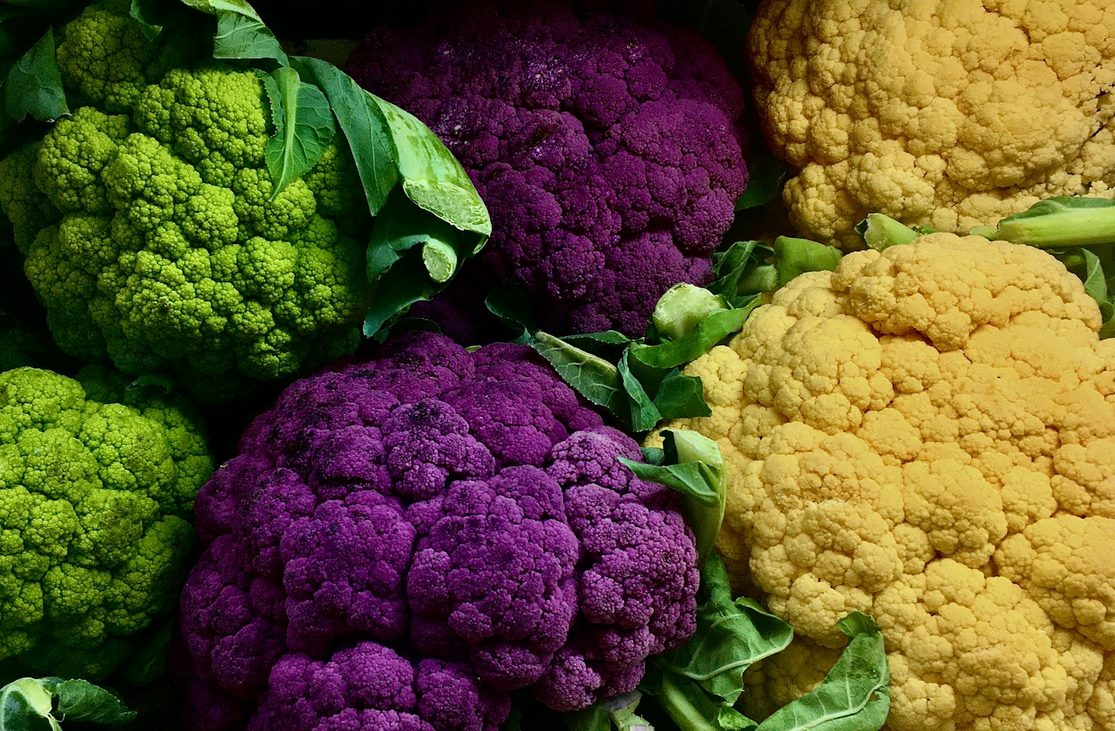 Cauliflower Carnival